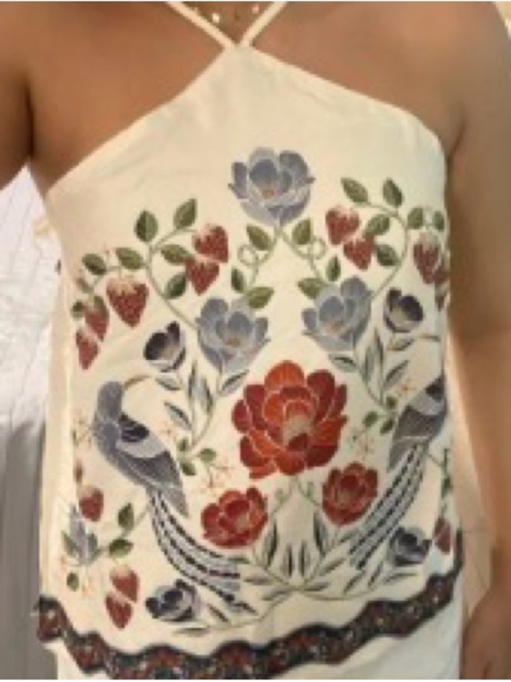 FARM Rio Cream Halter Camisole with Red & Blue Floral Embroidery - Picture 3 of 4